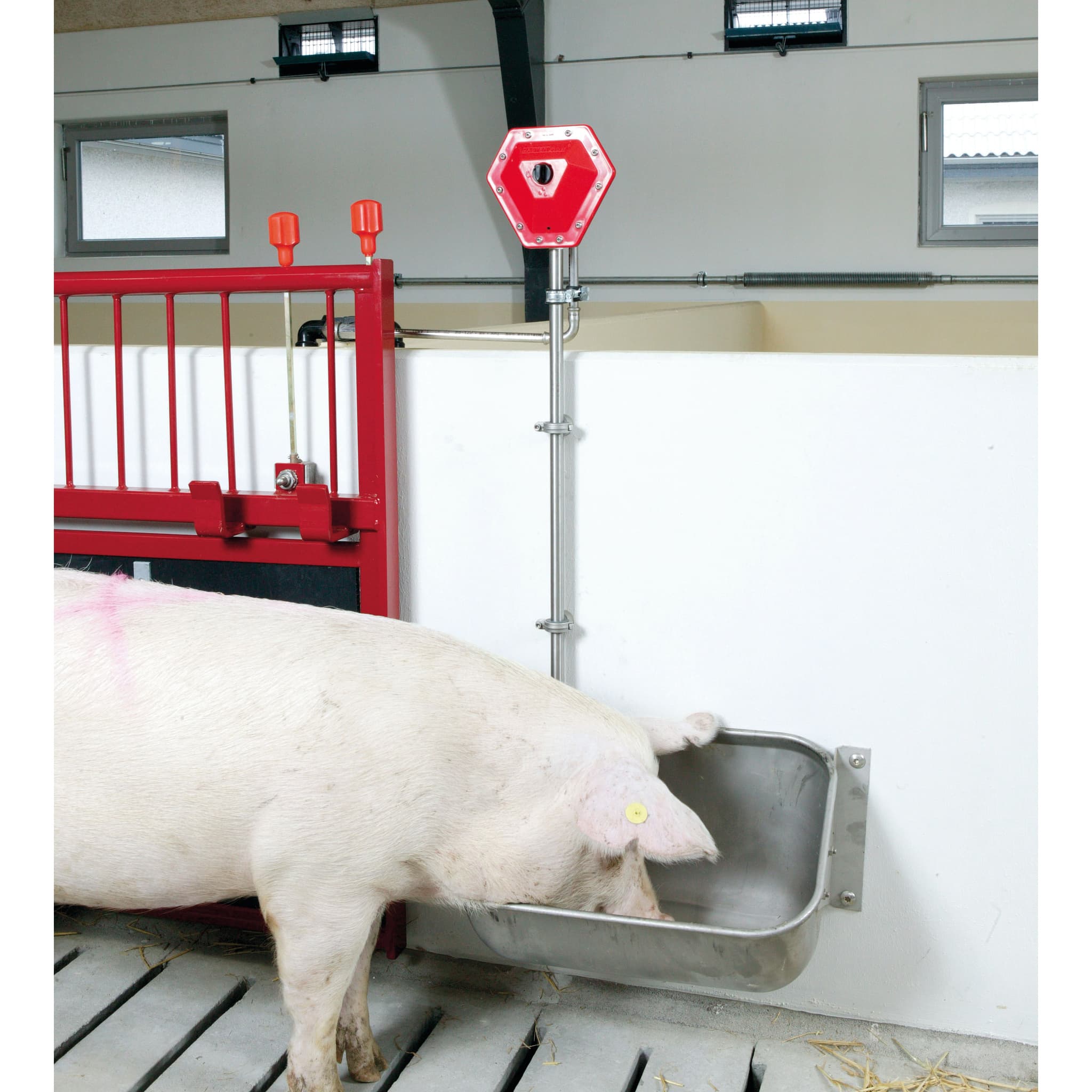 MASTER FLOW Water Level Valve Installed with Sow Trough