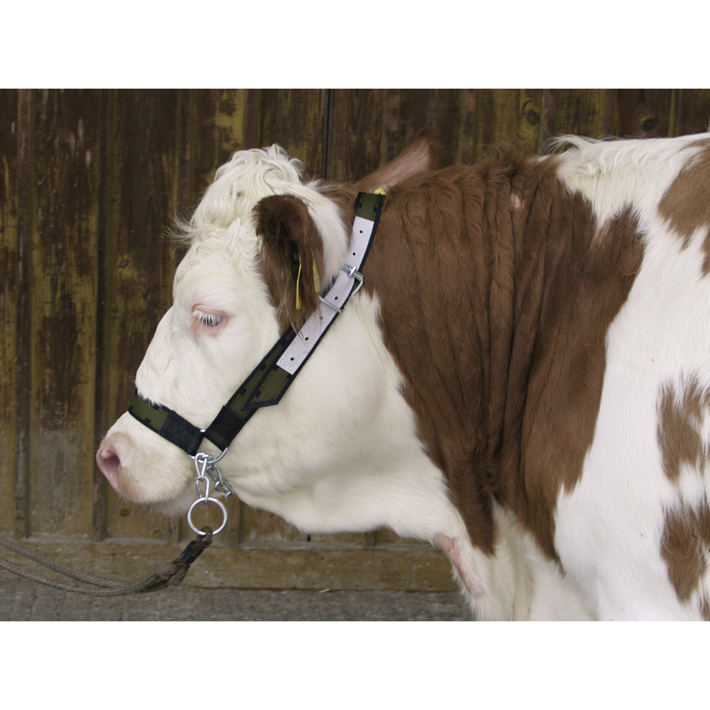 Cow Hinge Rope Halter with chinstrap for cows and young bulls - Cow halters & cow rope